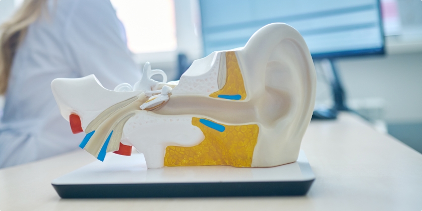 Kirsch Audiology Blog